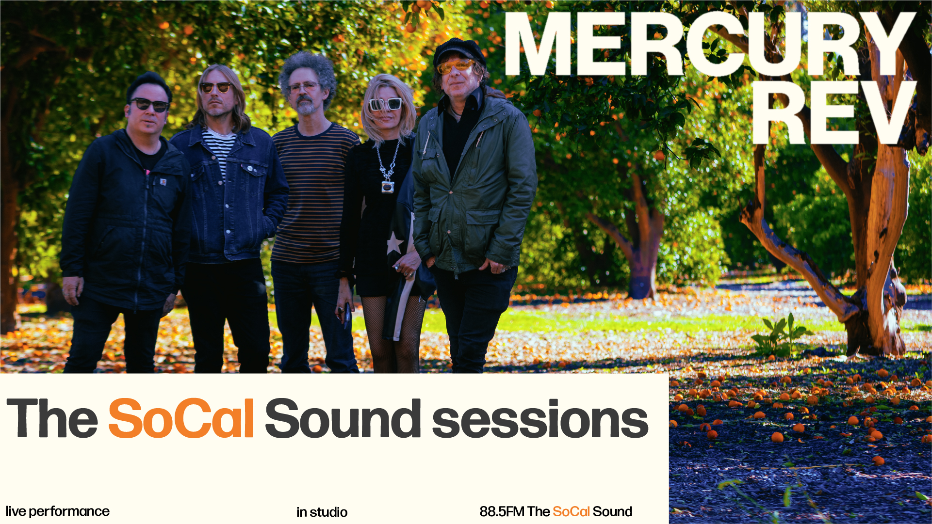 Mercury Rev - The SoCal Sound Session