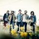 wild feathers
