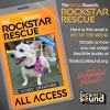 Make room on the runway for this pup - CINDY CRAWFORD - our PET OF THE WEEK!