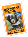 09.10: PET OF THE WEEK - DIVINE MISS M!