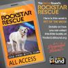 09.17: PET OF THE WEEK - JAKE FROM STATE FARM!
